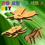 [로봇사이언스몰]  DIY 곤충 모형 3종 세트 A(메뚜기.사슴벌레.무당벌레)