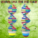 [로봇사이언스몰] 회전하는 DNA 입체 모형 오르골